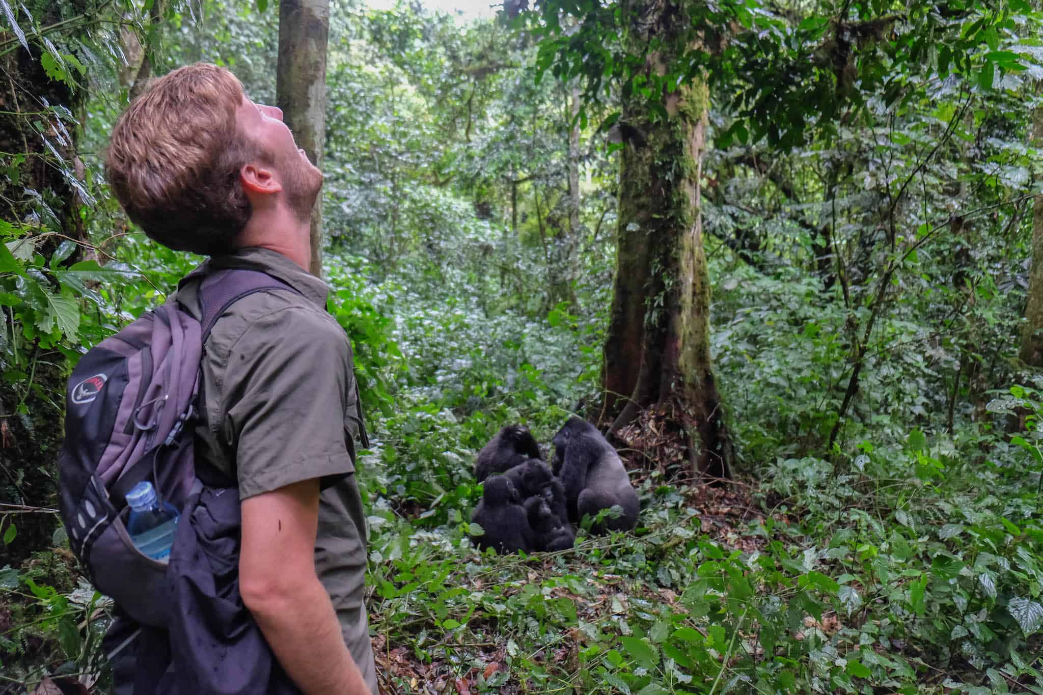Gorilla Trekking in Uganda